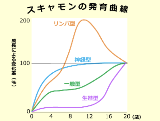スキャモンの成長曲線 | 大阪市東成区の接骨院 | まつい接骨院